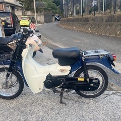 バーディー50FI【499】の画像