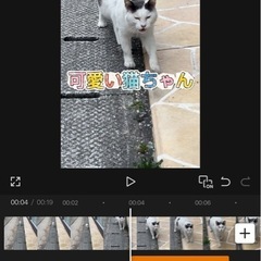 大切な思い出、写真や動画を編集してみませんか？✨の画像
