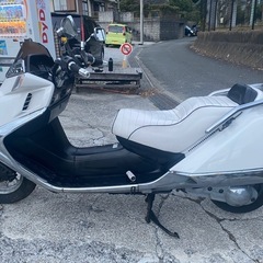 フュージョンX23番台【504】の画像