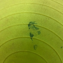 バランスボール 汚れありの画像