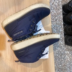 27cm 4年目のサップランドの画像