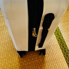 ホワイト色 20インチ スーツケース 機内持ち込みの画像