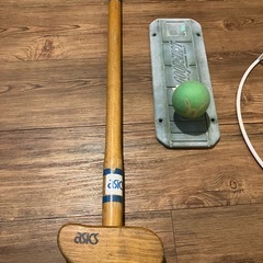 グランドゴルフ 練習用 セットの画像