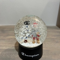 チャンピオン　スノードーム
の画像