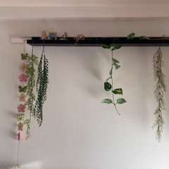 照明セット　かざりだな飾り棚の画像