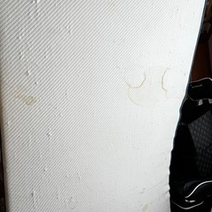 【コアラマットレス】シングルの画像