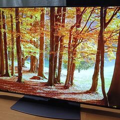 無料配送 2020年 SHARP AQUOS 55V型 4T-C55CQ1 4K有機ELテレビ HDR10 Youtube NETFLIX 多機能音声リモコンの画像