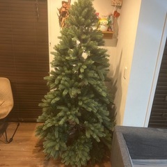 大型クリスマスツリーの画像