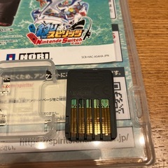 Switch  釣りスピリッツ　Nintendo Switchバージョンの画像