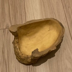 爬虫類　シェルターの画像