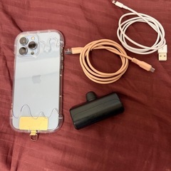  【美品】iPhone 13 Pro Max 512GB シエラブルー✨ ケース3種・ケーブル2本・モバイルバッテリー付き！
の画像