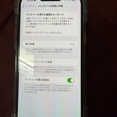  【美品】iPhone 13 Pro Max 512GB シエラブルー✨ ケース3種・ケーブル2本・モバイルバッテリー付き！
の画像