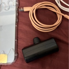  【美品】iPhone 13 Pro Max 512GB シエラブルー✨ ケース3種・ケーブル2本・モバイルバッテリー付き！
の画像