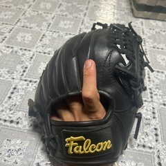 Falcon グローブの画像