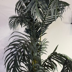 フェイクグリーン 観葉植物 の画像