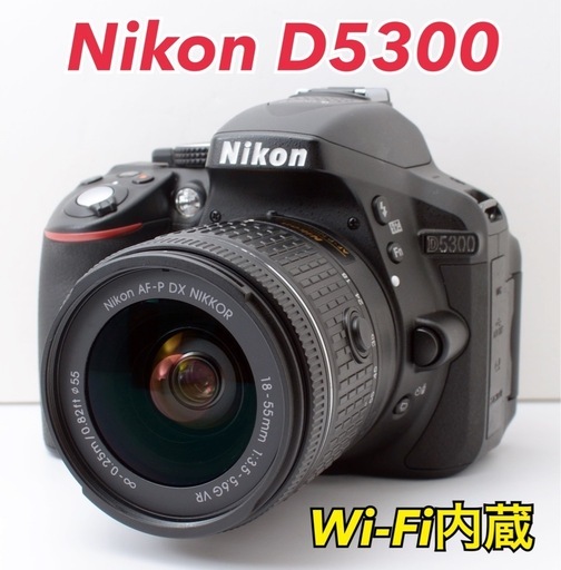 S数約950回！Nikon D5300★Wi-Fi内蔵★すぐ使える★初心者向け  1ヶ月動作補償あり！ 安心のゆうパック代引き発送！ 送料、代引き手数料無料！