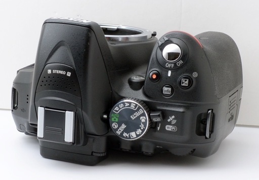 S数約950回！Nikon D5300★Wi-Fi内蔵★すぐ使える★初心者向け  1ヶ月動作補償あり！ 安心のゆうパック代引き発送！ 