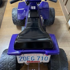 子供用バギーの画像