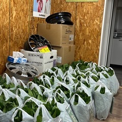 ほうれん草 1kg800円❗️❗️の画像