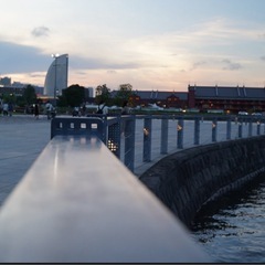 11/16大桟橋にて行います16-18時ぐらい/秋のフォト…