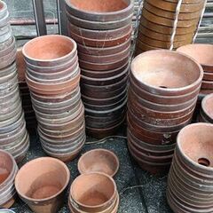 中古の植木鉢 必要な数だけどうぞ 引き取り限定の画像