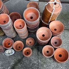 中古の植木鉢 必要な数だけどうぞ 引き取り限定の画像