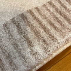 ふわふわ大判カーペットの画像