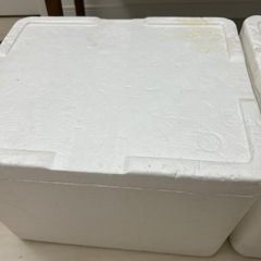 発泡スチロールケース　2点の画像