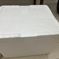 発泡スチロールケース　2点の画像