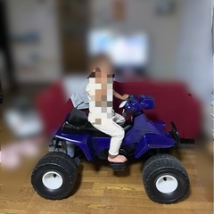 子供用バギーの画像