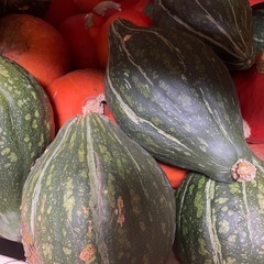 カボチャ100円の画像