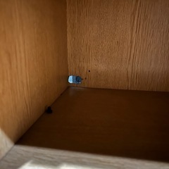 靴箱　　の画像