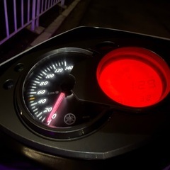 シグナスX  SE44J フルカスタムの画像