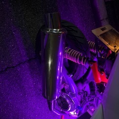 シグナスX  SE44J フルカスタムの画像