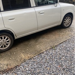 スズキラパンの画像