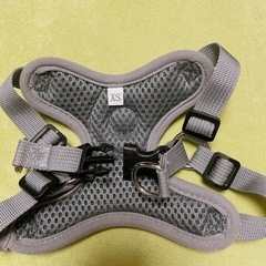 犬用ハーネスとリードの画像