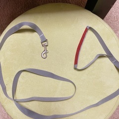 犬用ハーネスとリードの画像