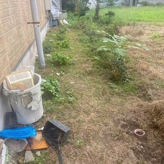 フラワー×リユースの画像