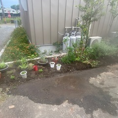 フラワー×リユースの画像