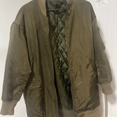 リバーシブルダウン？の画像