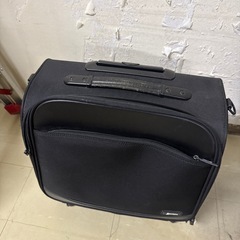 過去投稿★SRIXONミニスーツケースの画像