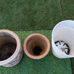 鉢植え　3個セットの画像