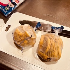 ゆず(柚子)：相談中の画像