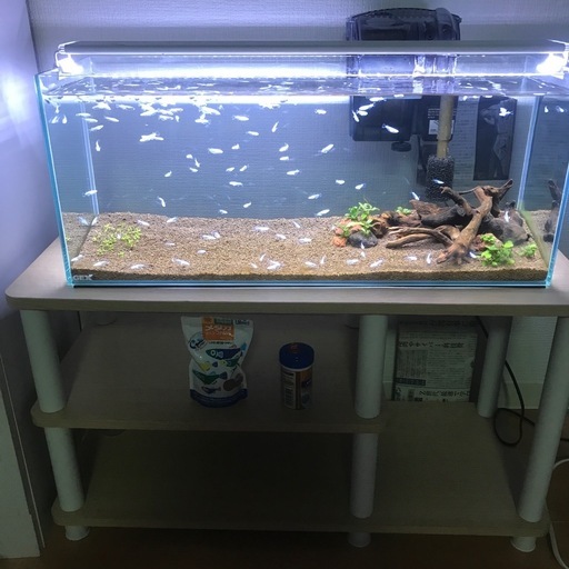 60センチ水槽スリムタイプ　水槽台セット