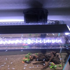 60センチ水槽スリムタイプ　水槽台セットの画像