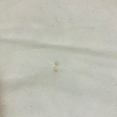 IKEA ヌードクッション 2個セットの画像