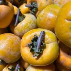 渋柿約80個
の画像