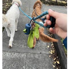 犬のうんちバッグ ＆ ホルダー　愛犬とお散歩の時に両手が自由になります。の画像