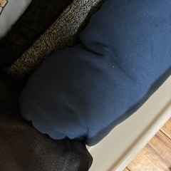 ✨婦人服✨の画像