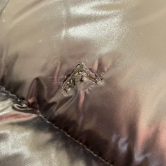 THE NORTH FACE ダウンジャケット　レディースL
の画像